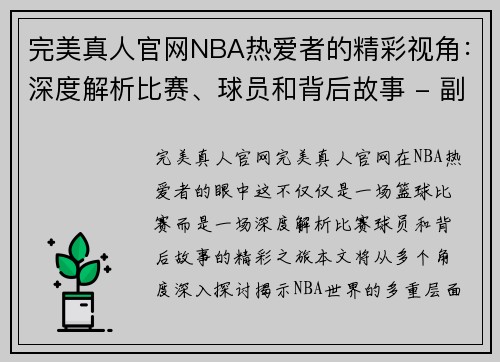 完美真人官网NBA热爱者的精彩视角：深度解析比赛、球员和背后故事 - 副本