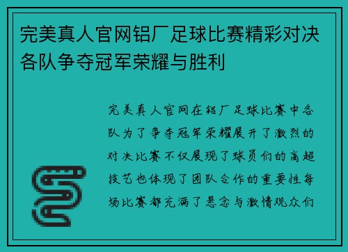 完美真人官网铝厂足球比赛精彩对决各队争夺冠军荣耀与胜利