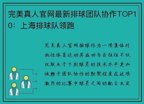 完美真人官网最新排球团队协作TOP10：上海排球队领跑